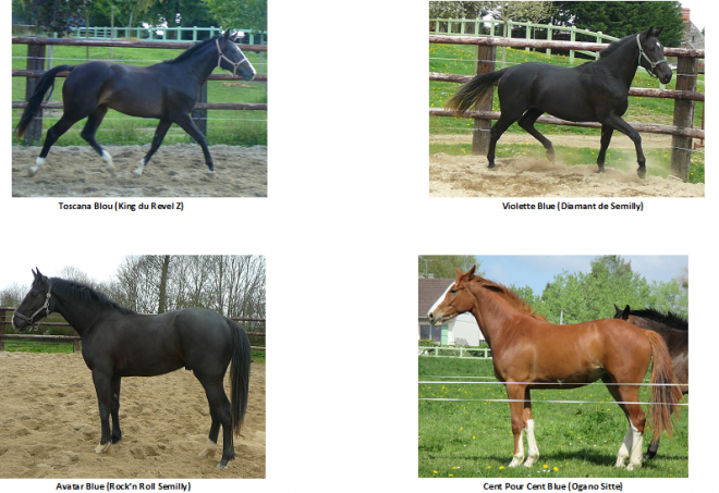 2 ans fiska