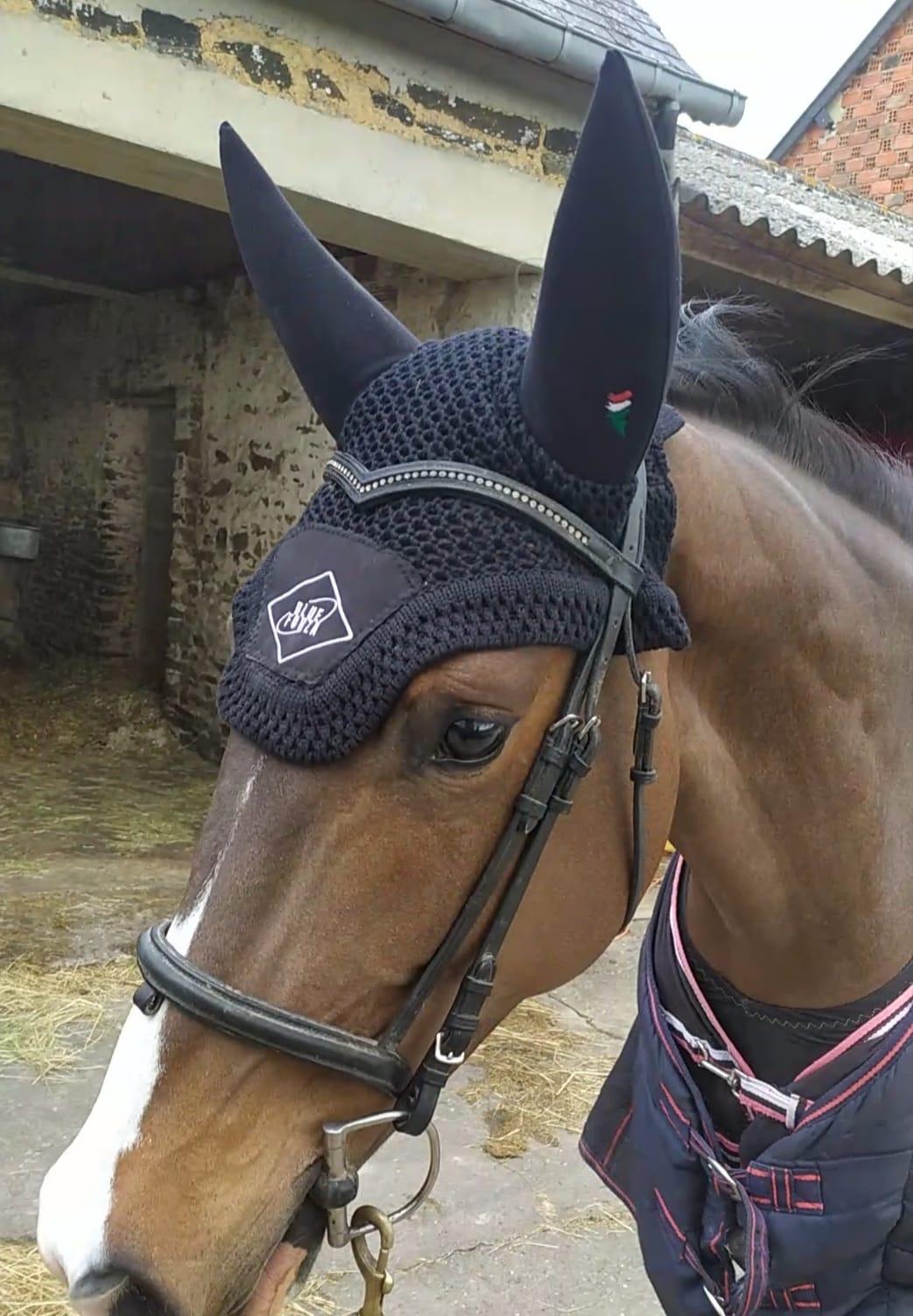 Bonnet