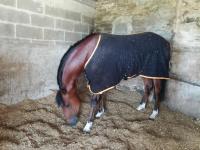 Farceur