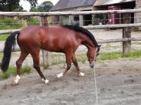 Farceur