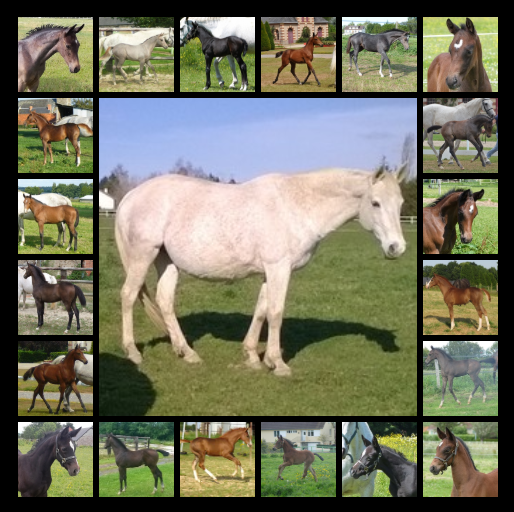 Grisette foals