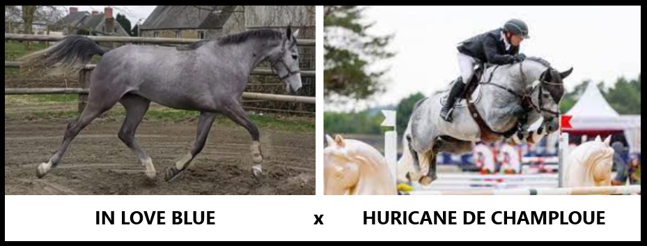 In love x huricane