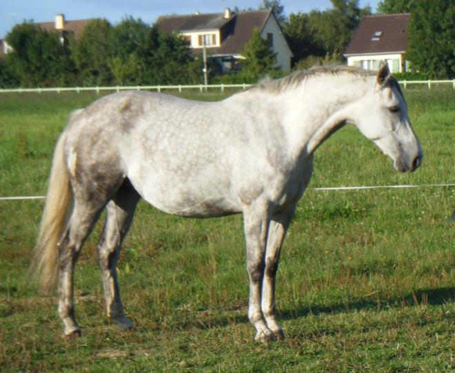 LA BAUDRIONNE