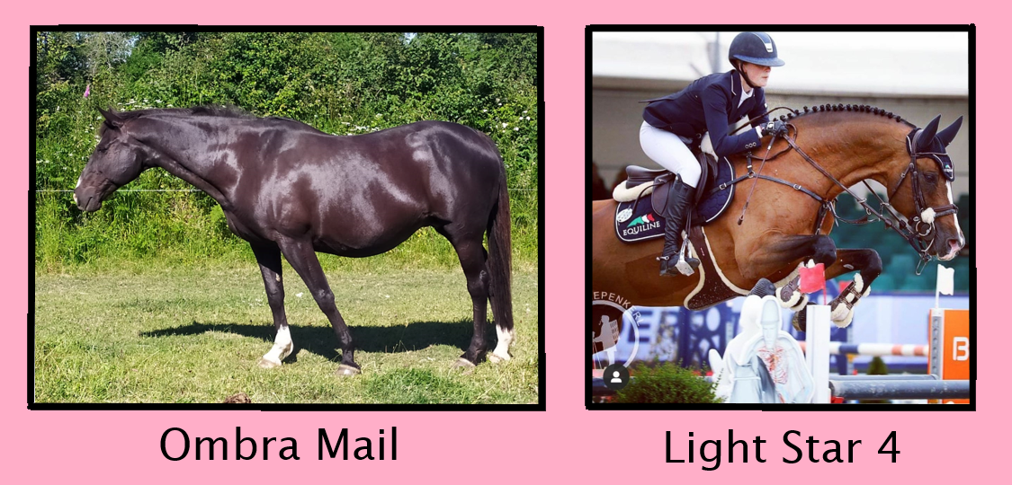 Ombra light star
