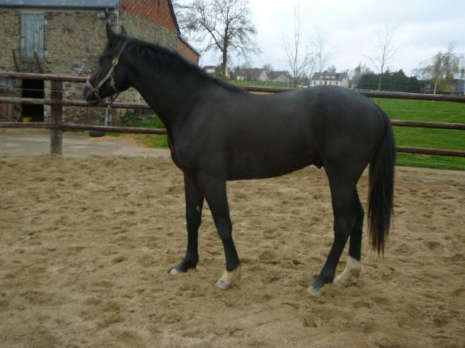 AVATAR BLUE 2 ans