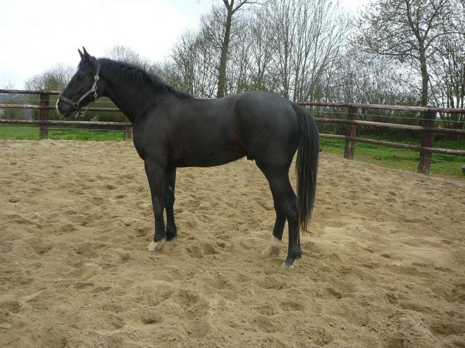 AVATAR BLUE 2 ans
