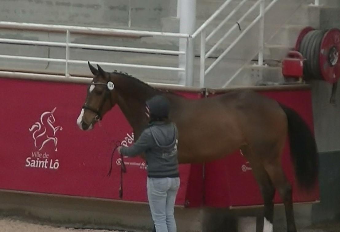 Lempicka Forza 2 ans