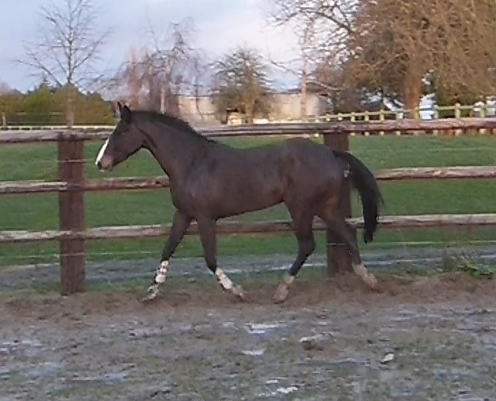 Toscana 7 ans