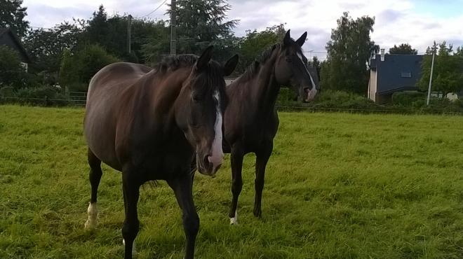Toscana et Ombra